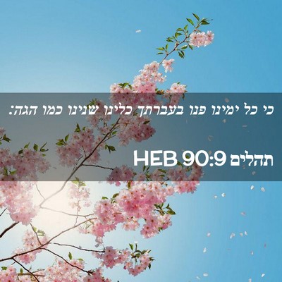 Picture 02 - תהלים 90:9 HEB - כי כל ימינו פנו בעברתך - Bible Verse Picture