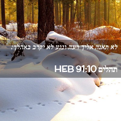Picture 02 - תהלים 91:10 HEB - לא תאנה אליך רעה ונגע לא - Bible Verse Picture