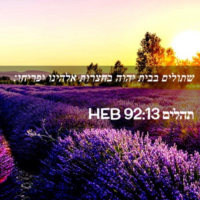 Picture 02 - תהלים 92:13 HEB - שתולים בבית יהוה בחצרות - Bible Verse Picture