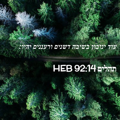Picture 02 - תהלים 92:14 HEB - עוד ינובון בשיבה דשנים - Bible Verse Picture