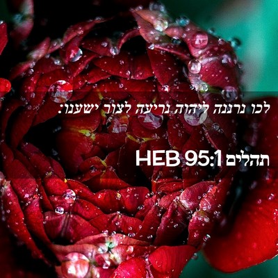Picture 02 - תהלים 95:1 HEB - לכו נרננה ליהוה נריעה לצור - Bible Verse Picture