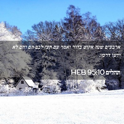 Picture 02 - תהלים 95:10 HEB - ארבעים שנה אקוט בדור ואמר - Bible Verse Picture