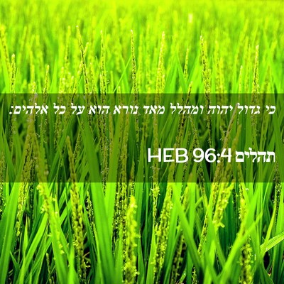 Picture 02 - תהלים 96:4 HEB - כי גדול יהוה ומהלל מאד נורא - Bible Verse Picture