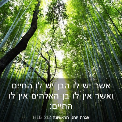 Picture 03 - אגרת יוחנן הראשונה 5:12 HEB - אשר יש לו הבן יש לו החיים - Bible Verse Picture