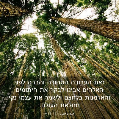 Picture 03 - אגרת יעקב 1:27 HEB - זאת העבודה הטהורה והברה - Bible Verse Picture
