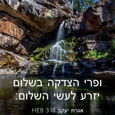 Picture 03 - אגרת יעקב 3:18 HEB - ופרי הצדקה בשלום יזרע לעשי - Bible Verse Picture