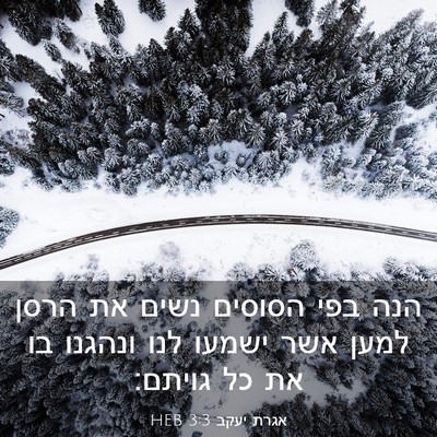 Picture 03 - אגרת יעקב 3:3 HEB - הנה בפי הסוסים נשים את הרסן - Bible Verse Picture