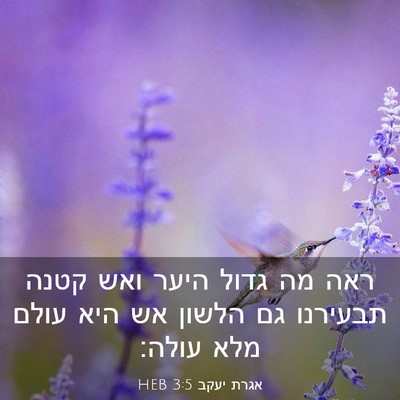 Picture 03 - אגרת יעקב 3:5 HEB - ראה מה גדול היער ואש קטנה - Bible Verse Picture