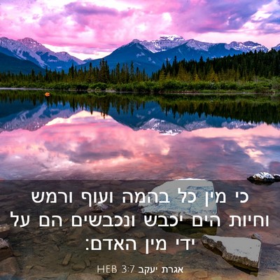 Picture 03 - אגרת יעקב 3:7 HEB - כי מין כל בהמה ועוף ורמש - Bible Verse Picture