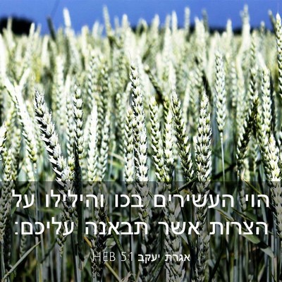 Picture 03 - אגרת יעקב 5:1 HEB - הוי העשירים בכו והילילו על - Bible Verse Picture