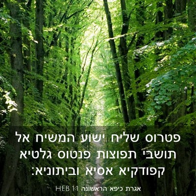 Picture 03 - אגרת כיפא הראשונה 1:1 HEB - פטרוס שליח ישוע המשיח אל - Bible Verse Picture