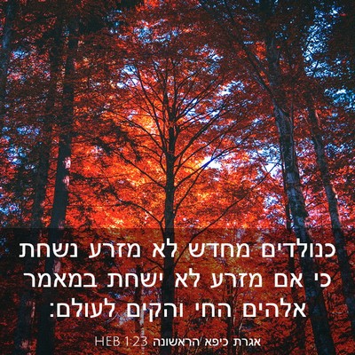 Picture 03 - אגרת כיפא הראשונה 1:23 HEB - כנולדים מחדש לא מזרע נשחת - Bible Verse Picture