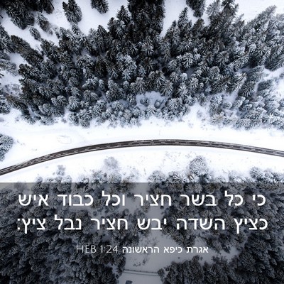 Picture 03 - אגרת כיפא הראשונה 1:24 HEB - כי כל בשר חציר וכל כבוד איש - Bible Verse Picture