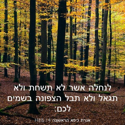 Picture 03 - אגרת כיפא הראשונה 1:4 HEB - לנחלה אשר לא תשחת ולא תגאל - Bible Verse Picture