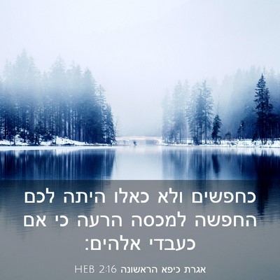 Picture 03 - אגרת כיפא הראשונה 2:16 HEB - כחפשים ולא כאלו היתה לכם - Bible Verse Picture