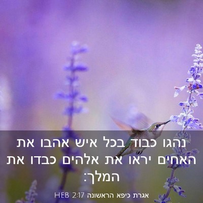 Picture 03 - אגרת כיפא הראשונה 2:17 HEB - נהגו כבוד בכל איש אהבו את - Bible Verse Picture