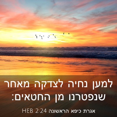 Picture 03 - אגרת כיפא הראשונה 2:24 HEB - למען נחיה לצדקה מאחר - Bible Verse Picture