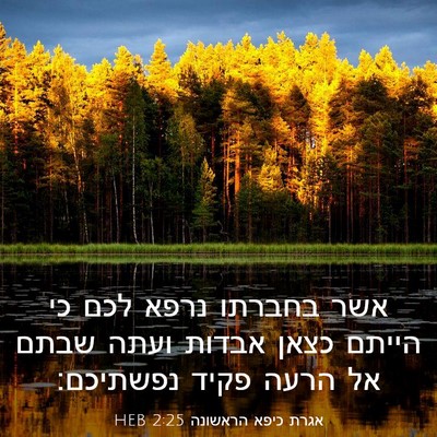 Picture 03 - אגרת כיפא הראשונה 2:25 HEB - אשר בחברתו נרפא לכם כי - Bible Verse Picture