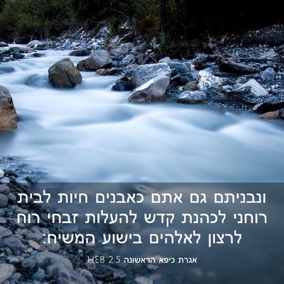 Picture 03 - אגרת כיפא הראשונה 2:5 HEB - ונבניתם גם אתם כאבנים חיות - Bible Verse Picture