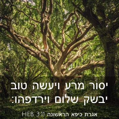 Picture 03 - אגרת כיפא הראשונה 3:11 HEB - יסור מרע ויעשה טוב יבשק - Bible Verse Picture