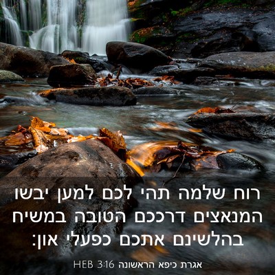Picture 03 - אגרת כיפא הראשונה 3:16 HEB - רוח שלמה תהי לכם למען יבשו - Bible Verse Picture