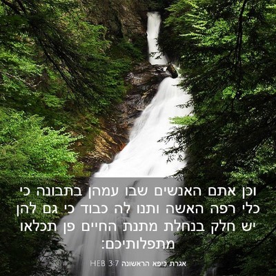 Picture 03 - אגרת כיפא הראשונה 3:7 HEB - וכן אתם האנשים שבו עמהן - Bible Verse Picture