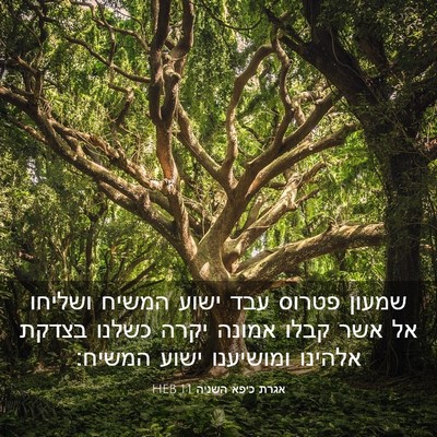 Picture 03 - אגרת כיפא השניה 1:1 HEB - שמעון פטרוס עבד ישוע המשיח - Bible Verse Picture