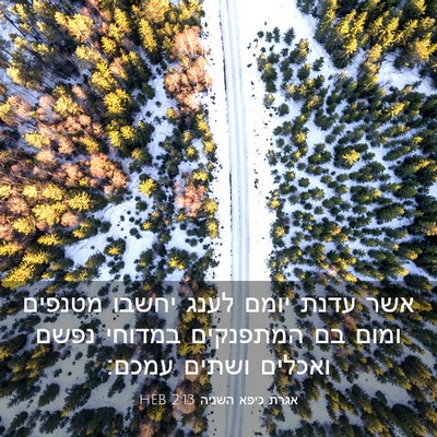 Picture 03 - אגרת כיפא השניה 2:13 HEB - אשר עדנת יומם לענג יחשבו - Bible Verse Picture