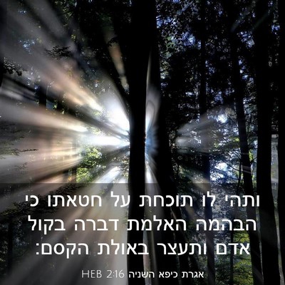 Picture 03 - אגרת כיפא השניה 2:16 HEB - ותהי לו תוכחת על חטאתו כי - Bible Verse Picture