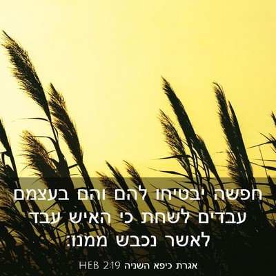 Picture 03 - אגרת כיפא השניה 2:19 HEB - חפשה יבטיחו להם והם בעצמם - Bible Verse Picture
