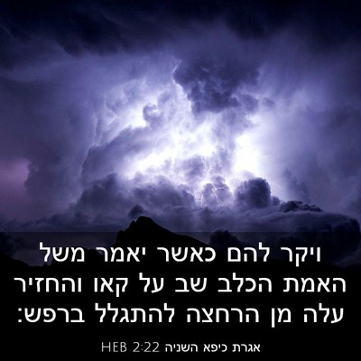 Picture 03 - אגרת כיפא השניה 2:22 HEB - ויקר להם כאשר יאמר משל האמת - Bible Verse Picture