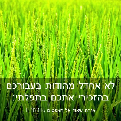 Picture 03 - אגרת שאול אל האפסים 1:16 HEB - לא אחדל מהודות בעבורכם - Bible Verse Picture