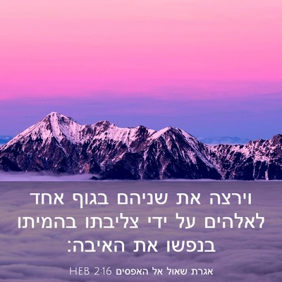 Picture 03 - אגרת שאול אל האפסים 2:16 HEB - וירצה את שניהם בגוף אחד - Bible Verse Picture