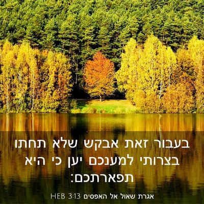 Picture 03 - אגרת שאול אל האפסים 3:13 HEB - בעבור זאת אבקש שלא תחתו - Bible Verse Picture