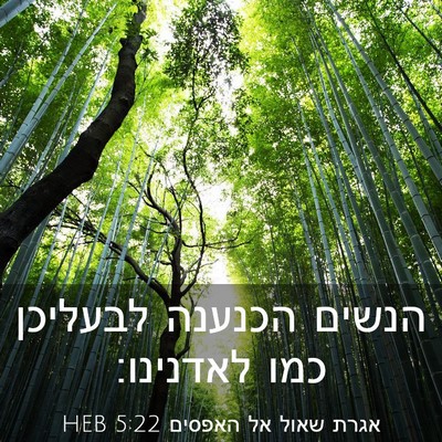Picture 03 - אגרת שאול אל האפסים 5:22 HEB - הנשים הכנענה לבעליכן כמו - Bible Verse Picture
