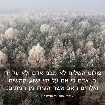 Picture 03 - אגרת שאול אל הגלטים 1:1 HEB - פולוס השליח לא מבני אדם ולא - Bible Verse Picture