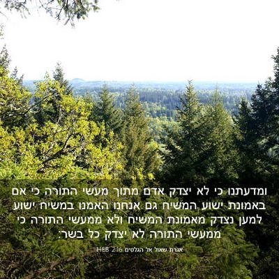 Picture 03 - אגרת שאול אל הגלטים 2:16 HEB - ומדעתנו כי לא יצדק אדם מתוך - Bible Verse Picture