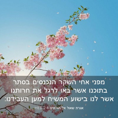 Picture 03 - אגרת שאול אל הגלטים 2:4 HEB - מפני אחי השקר הנכנסים בסתר - Bible Verse Picture