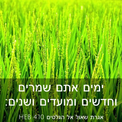 Picture 03 - אגרת שאול אל הגלטים 4:10 HEB - ימים אתם שמרים וחדשים - Bible Verse Picture