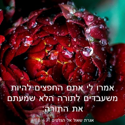 Picture 03 - אגרת שאול אל הגלטים 4:21 HEB - אמרו לי אתם החפצים להיות - Bible Verse Picture