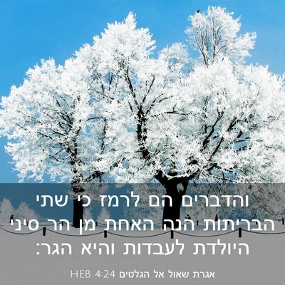 Picture 03 - אגרת שאול אל הגלטים 4:24 HEB - והדברים הם לרמז כי שתי - Bible Verse Picture