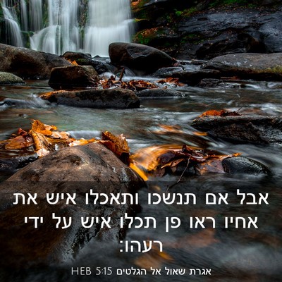Picture 03 - אגרת שאול אל הגלטים 5:15 HEB - אבל אם תנשכו ותאכלו איש את - Bible Verse Picture