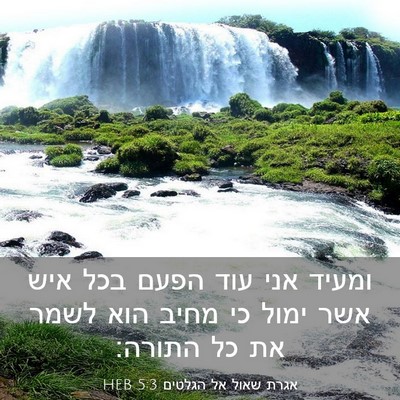 Picture 03 - אגרת שאול אל הגלטים 5:3 HEB - ומעיד אני עוד הפעם בכל איש - Bible Verse Picture