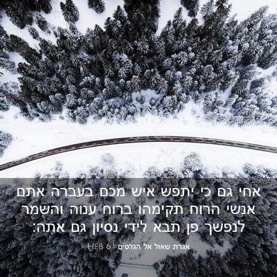 Picture 03 - אגרת שאול אל הגלטים 6:1 HEB - אחי גם כי יתפש איש מכם - Bible Verse Picture