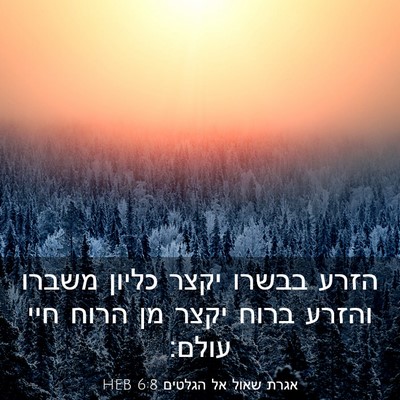 Picture 03 - אגרת שאול אל הגלטים 6:8 HEB - הזרע בבשרו יקצר כליון - Bible Verse Picture