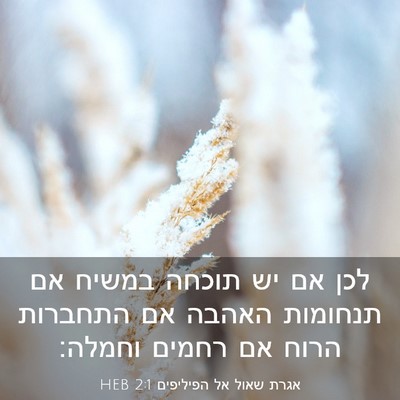 Picture 03 - אגרת שאול אל הפיליפים 2:1 HEB - לכן אם יש תוכחה במשיח אם - Bible Verse Picture
