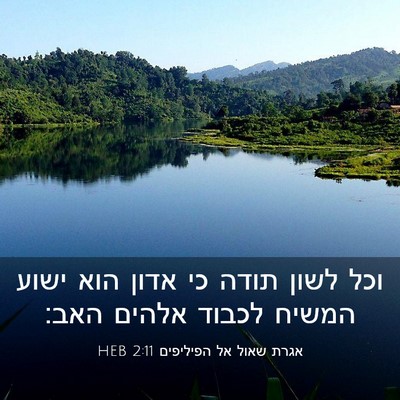 Picture 03 - אגרת שאול אל הפיליפים 2:11 HEB - וכל לשון תודה כי אדון הוא - Bible Verse Picture