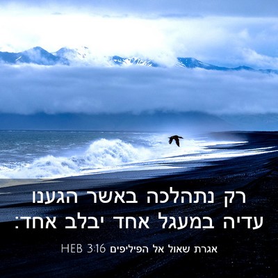 Picture 03 - אגרת שאול אל הפיליפים 3:16 HEB - רק נתהלכה באשר הגענו עדיה - Bible Verse Picture