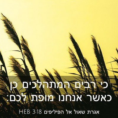 Picture 03 - אגרת שאול אל הפיליפים 3:18 HEB - כי רבים המתהלכים כן כאשר - Bible Verse Picture