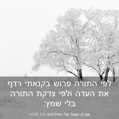 Picture 03 - אגרת שאול אל הפיליפים 3:6 HEB - לפי התורה פרוש בקנאתי רדף - Bible Verse Picture